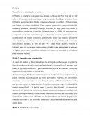 Pasos estrategicos gestion de procesos
