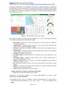 Caso empresa vinícola Hiui
