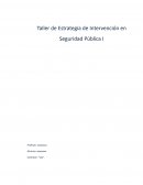 Taller de Estrategia de Intervención en Seguridad Pública I