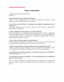 Orientación Agropecuaria