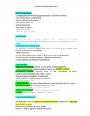 Importancia de la contabilidad