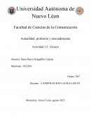 Actualidad, profesión y mercadotecnia Actividad 1.2 - Ensayo