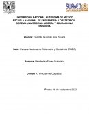 El proceso de cuidados