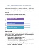 Manual de procesos médicos dentro de la clínica Olympus