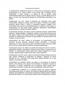 Contaminantes ambientales y sus efectos