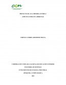 Proyecto de aula. Coca Cola Femsa (Colombia)