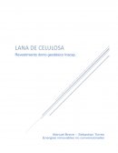 Revestimiento con lana de celulosa