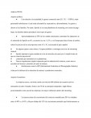 Analisis pestel Spotify