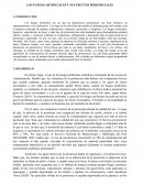 Los fuegos artificiales y sus efectos perjudiciales