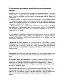 Ergonomía y Normas de seguridad en el ambiente de trabajo