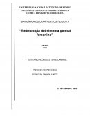 Embriología del sistema genital femenino