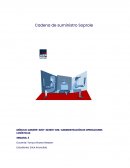 Cadena de suministro productos lácteos Soprole