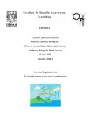Procesos Biogeoquimicos. El ciclo del carbon y sus causas de alteracion