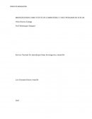 Biodigestores como fuente de combustible y recuperador de suelos