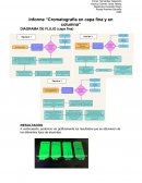 Informe “Cromatografía en capa fina y en columna”