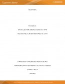 Análisis de carga mental de trabajo