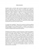 Sistemas sexo genero - Feminismos y Masculinidades