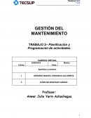 Planificación y Programación de actividades