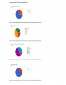 Segmentación Demográfica