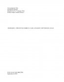 Preguntas sobre el caso; análisis y sintesis del fallo