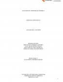 Análisis del caso Wok