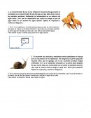 La concentración de sal en las células