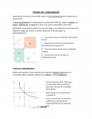 Teoría del consumidor
