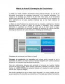 Matriz de Ansoff, Estrategias de Crecimiento
