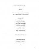 Competencias ciudadanas