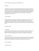 La Edad Media: Un Viaje a través de la Oscuridad y la Luz