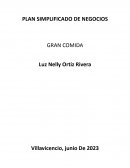 Plan simplificado de negocios. Gran comida