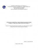 Inteligencia emocional como estrategia de efectividad laboral en organizaciones policiales públicas