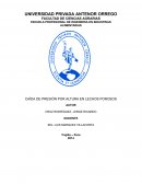 Caida de presión por altura de lechos porosos