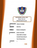 Informe final de las prácticas de inmersión