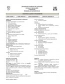 Manzanas Isaac Newton