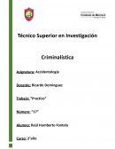 Accidente de tráfico. Trabajo Práctico Nº 17