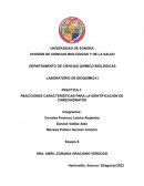 Práctica 1: reacciones características para la identificación de carbohidratos