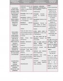 Cuadro para narrativas docentes