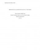 Importancia de las redes Sociales