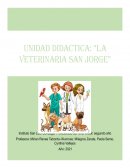 Contexto: “La veterinaria San Jorge”