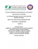 Reporte de los conceptos de microeconomía