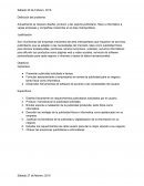 Formulacion de proyectos