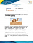 Aplicación de conceptos en Seres vivos: Estructura, funcionamiento y diversidad