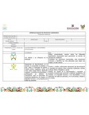 Los afectos y su influencia en el bienestar