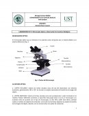 Laboratorio Nª 2: Microscopio óptico y observación de muestras Biológicas