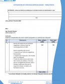 Servicio de particula magneticas a sistema de mastil de montacarga FL 1603