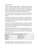 Fuentes de Colesterol