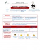 Plan de reforzamiento del estudiante primaria