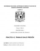 Práctica 2. Trabajo bajo presión