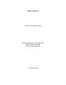 La Computación cuántica y su relación con la Ciberseguridad en el medio ambiente